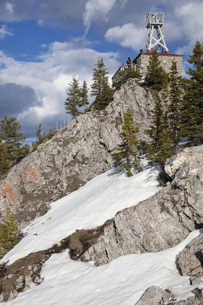 Siarki górskim w Parku Narodowym Banff — Zdjęcie stockowe