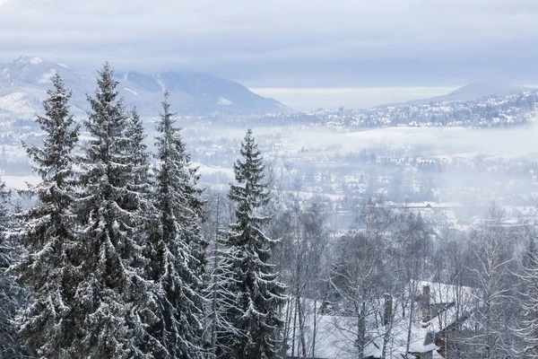 Winterpanorama von Zakopane — Stockfoto