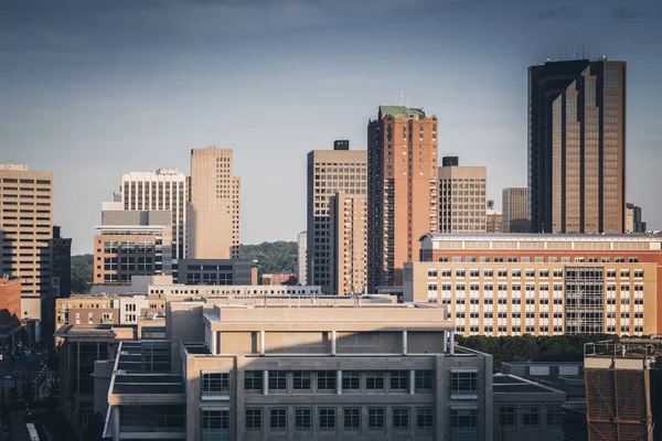 Panorama över St. Paul — Stockfoto