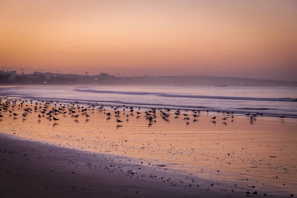 Beach in Agadir — Stock Photo, Image