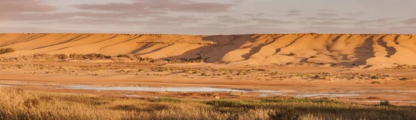 Saguia el Hamra rivier in Laayoune — Stockfoto