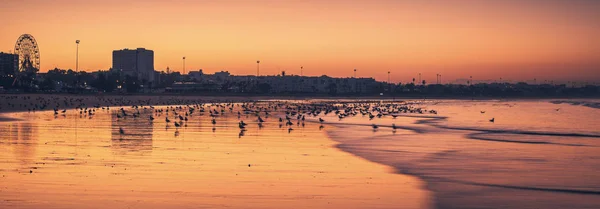 Playa en Agadir —  Fotos de Stock
