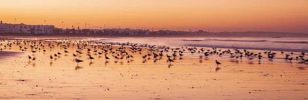 Strand i Agadir — Stockfoto