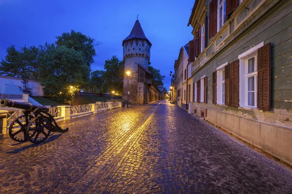 Sibiu'daki Marangoz Kulesi — Stok fotoğraf
