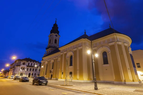 S:t Nikolaus-katedralen i Oradea — Stockfoto