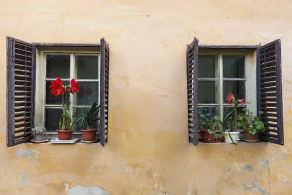 Bunte Straßen von Sighisoara — Stockfoto