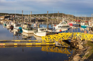 Bonavista, Newfoundland sabah