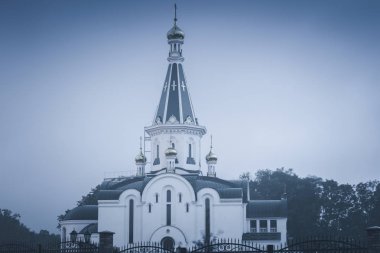 Kaliningrad'daki Alexander Nevsky Kilisesi  