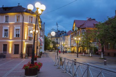 Zelenogradsk Mimarisi  