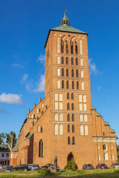 Sint-Catharina van Alexandrië-basiliek in Braniewo — Stockfoto