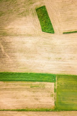 Stradow 'daki tarlaların havadan görüntüsü. Stradow, Holy Cross, Polonya.