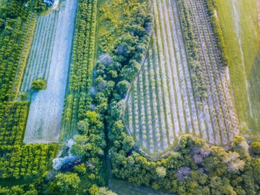 Szydlow Panoraması. Szydlow, Kutsal Haç, Polonya.
