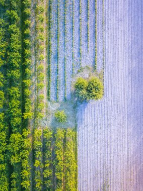 Szydlow Panoraması. Szydlow, Kutsal Haç, Polonya.