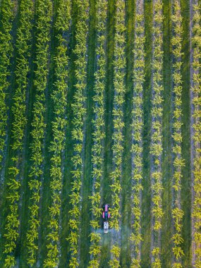 Szydlow Panoraması. Szydlow, Kutsal Haç, Polonya.