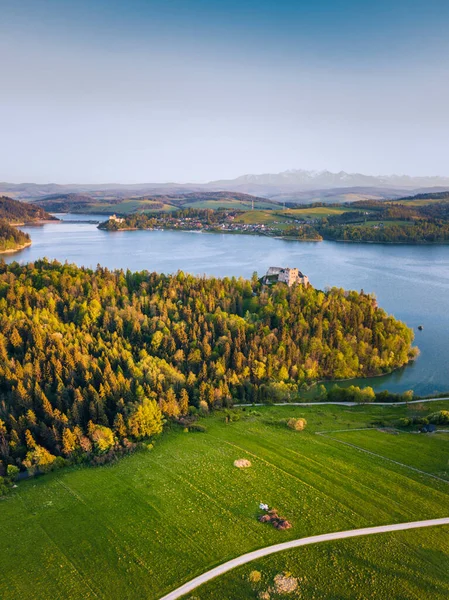 Czorsztyn Castle Lake Czorsztyn Lesser Poland Poland — Stock Photo, Image