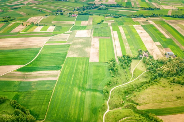 Grodzisko Stradow Stradow Holy Cross Polonya — Stok fotoğraf