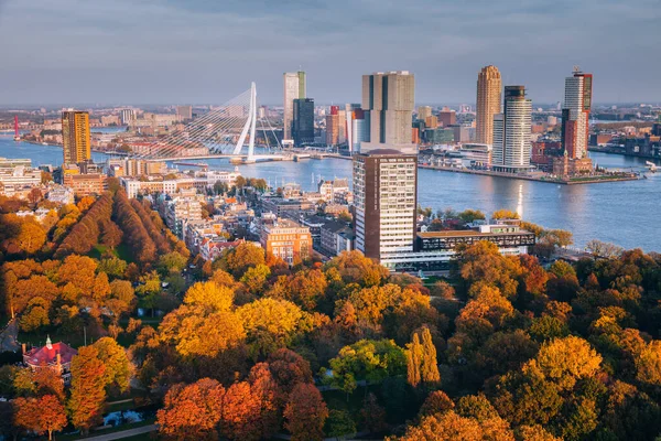 Panorama Aéreo Roterdão Rotterdam Holanda Sul Holanda Fotos De Bancos De Imagens