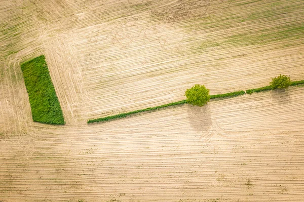 Aerial View Fields Stradow Stradow Holy Cross Poland — Stock Photo, Image