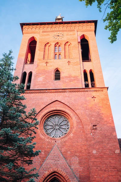 Kamien Pomorski Katedrali Kamien Pomorski Batı Pomerania Polonya — Stok fotoğraf