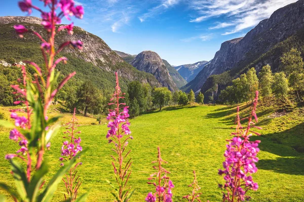 Norwegen Landschaft Gudvangen Gebiet Gudvangen Westnorwegen Norwegen — Stockfoto