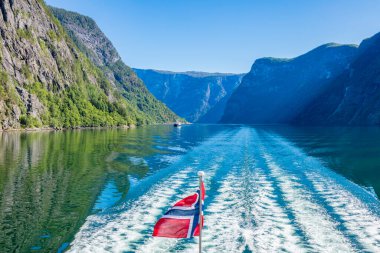 Norveç 'teki Aurlandsfjord. Aurlandsvangen, Batı Norveç, Norveç.