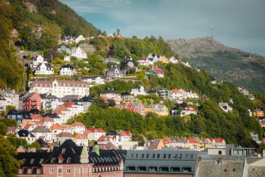 Bergen 'de yaz haftasonu. Bergen, Batı Norveç, Norveç.