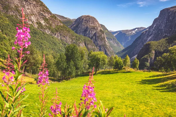 Krajobraz Norwegii Obszar Gudvangen Gudvangen Norwegia Zachodnia Norwegia — Zdjęcie stockowe