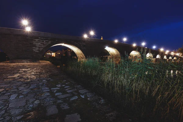 Vieux Pont Pierre Ratisbonne Ratisbonne Bavière Allemagne — Photo