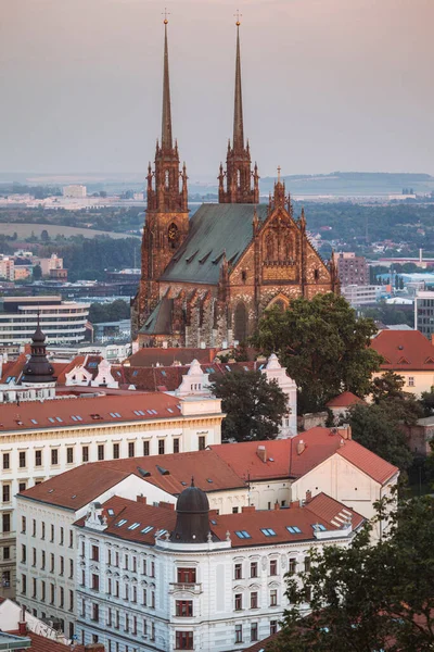 Kathedraal Van Peter Paul Brno Brno Zuid Moravië Tsjechië — Stockfoto