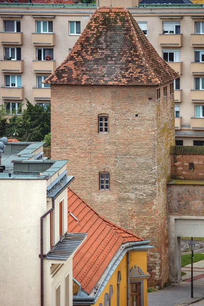 Stara Wieża Trnawie Trnava Region Trnava Słowacja — Zdjęcie stockowe