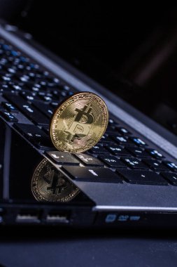 Altın Bitcoin bir dizüstü bilgisayarda yatıyor