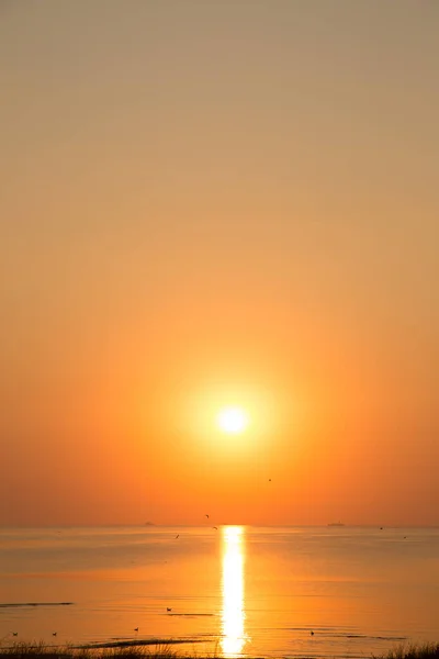 Schöner Sonnenaufgang Meer Frühen Sommermorgen — Stockfoto