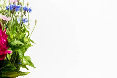 Beyaz arka planda güzel kır çiçekleri