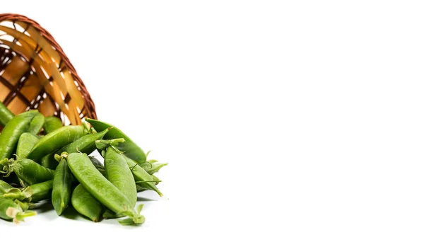 Guisantes Verdes Maduros Sobre Fondo Blanco Cultivados Campo Una Granja —  Fotos de Stock