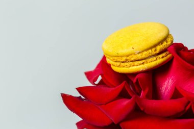 Lezzetli kurabiyeler ve beyaz arka planda kırmızı gül.