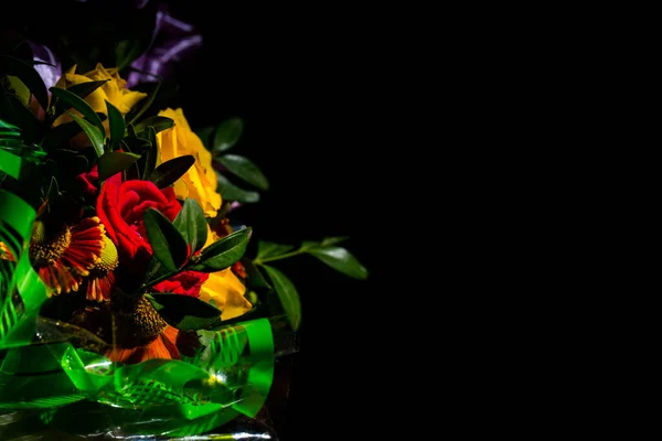 Beautiful Fresh Chrysanthemum Black Background — Stock Photo, Image