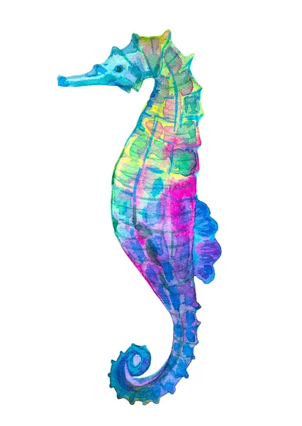 Seahorse Hand Drawn Watercolor Illustration Isolated White Background — Stock Photo, Image