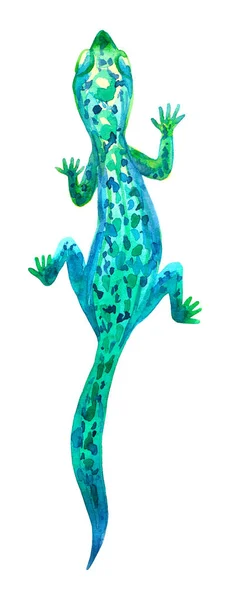 Lagarto Verde Isolado Sobre Fundo Branco Ilustração Aquarela Desenhada Mão — Fotografia de Stock