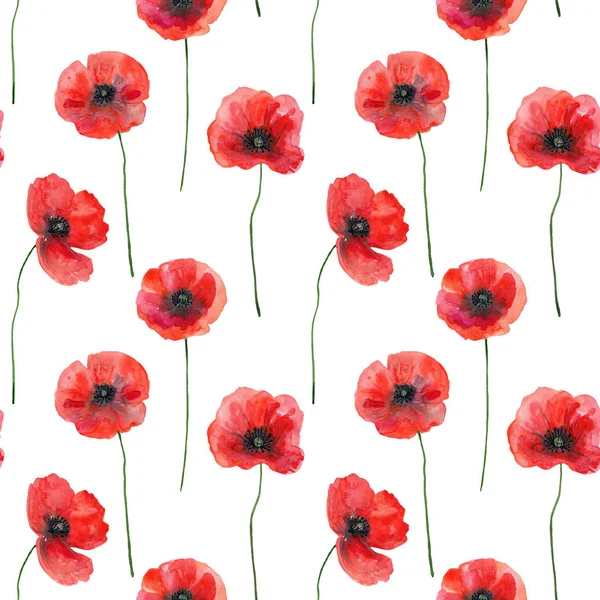 Poppies, elle çizilmiş illüstrasyon ile Seamless modeli — Stok fotoğraf