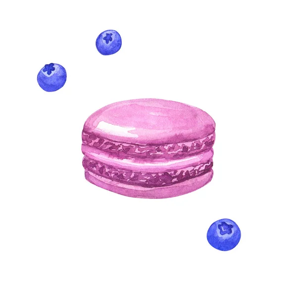 Purple macaron dan bluberry. Ilustrasi cat air buatan tangan. Terisolasi pada latar belakang putih . — Stok Foto