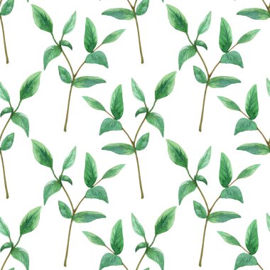 Yeşil dal. Seamless modeli. El suluboya resim çekilmiş.