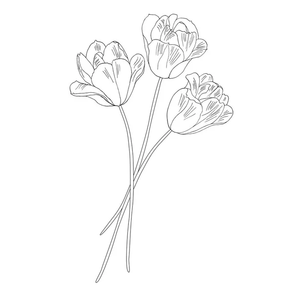 Tulpen Handgezeichnete Vektorillustration Monochrome Schwarz Weiß Tuschskizze Zeilenkunst Isoliert Auf — Stockvektor