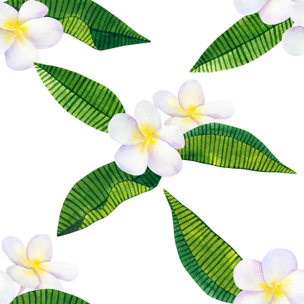 フランジパニやプルメリア 白い花と熱帯の緑の葉 手描き水彩イラスト シームレス パターン 白で隔離 — ストック写真