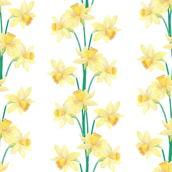 Daffodils ou narciso. Flores amarelas. Padrão sem costura. ilustração aquarela desenhada à mão . — Fotografia de Stock