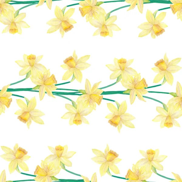 Daffodils ou narciso. Flores amarelas. Padrão sem costura. ilustração aquarela desenhada à mão . — Fotografia de Stock