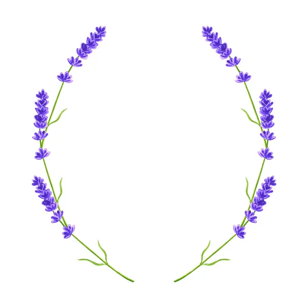 Marco floral redondo. Corona de lavanda. Plantilla violeta. Acuarela ilustración dibujada a mano . — Foto de Stock