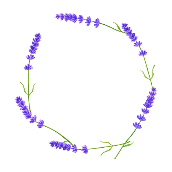 Marco floral redondo. Corona de lavanda. Plantilla violeta. Acuarela ilustración dibujada a mano . — Foto de Stock