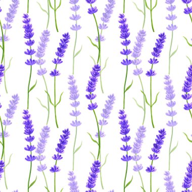Lavanta çiçekleri. Kusursuz desen. Elle çizilmiş suluboya illüstrasyon. Baskı, kumaş, tekstil, duvar kağıdı için doku.