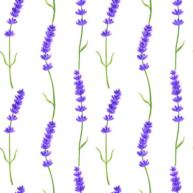 Lavanta çiçekleri. Kusursuz desen. Elle çizilmiş suluboya illüstrasyon. Baskı, kumaş, tekstil, duvar kağıdı için doku.