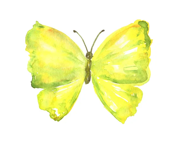 Gelb grüner Schmetterling. handgezeichnete Aquarell-Illustration. isoliert auf weißem Hintergrund. — Stockfoto